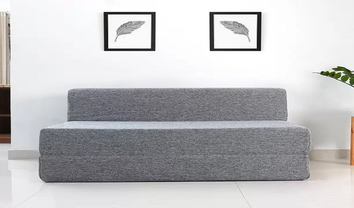 Sleeper Sofa